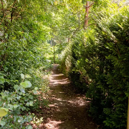 Roter Fuchsbau Am Eichwald * Gossersweiler-Stein