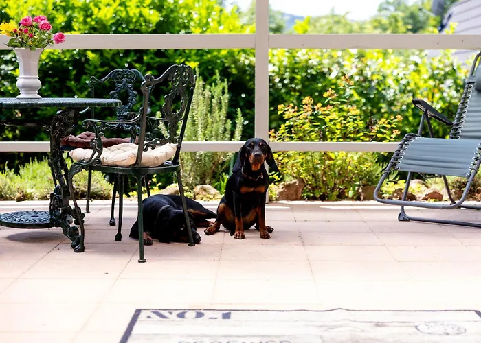 Chalé Roter Fuchsbau Am Eichwald