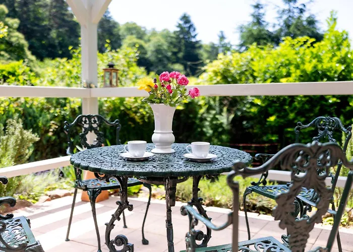 Roter Fuchsbau Am Eichwald